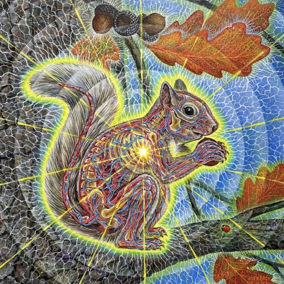 🧡❤️💗🐚Free Seashells🐚💖❤️🧡 - Picture 10 of 16